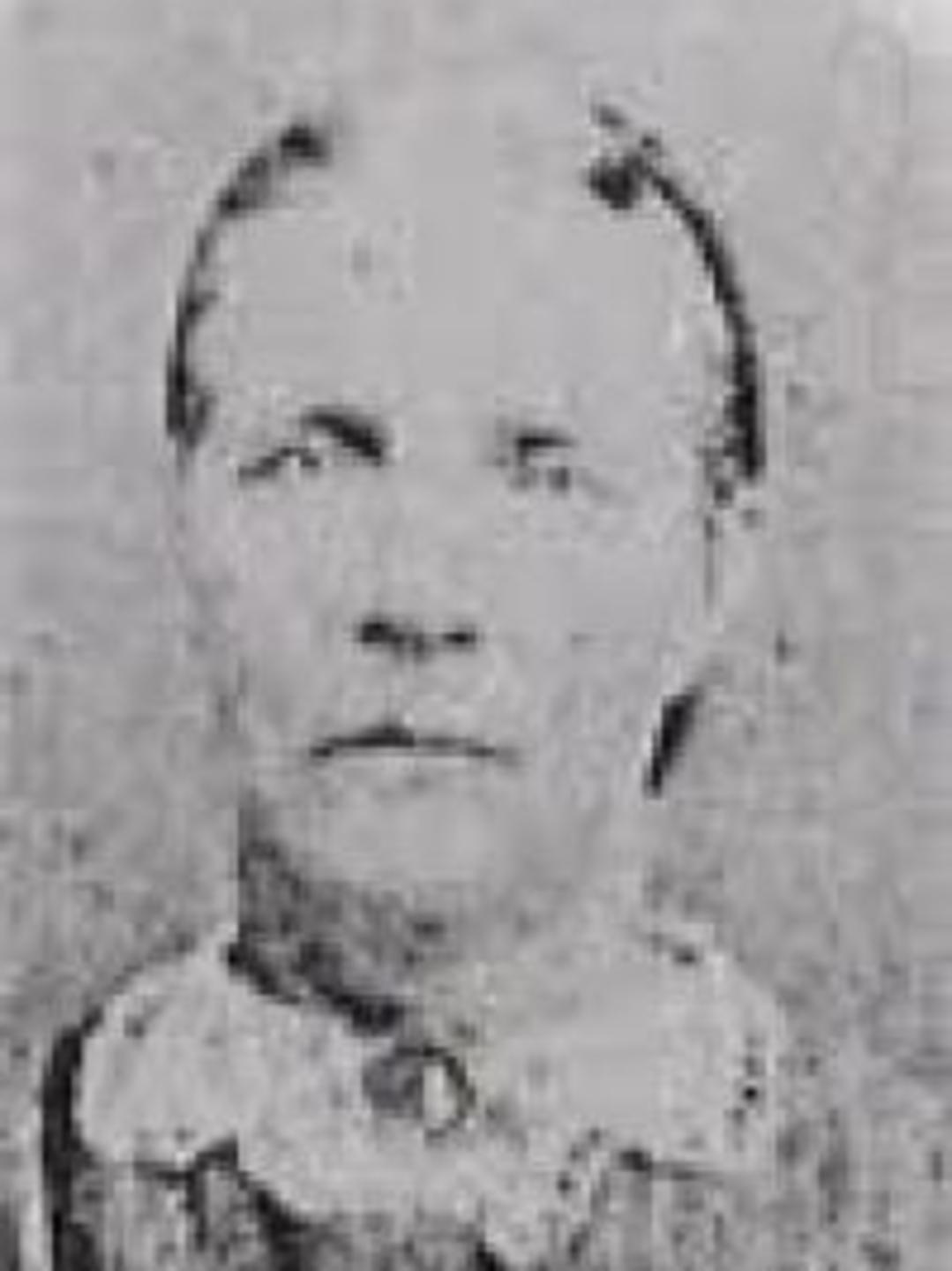 Mary Ann Dovell (1806 - 1891) Profile